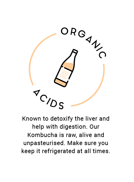 organic acids naked bondi kombucha raw craft unpasterised sydney kombucha